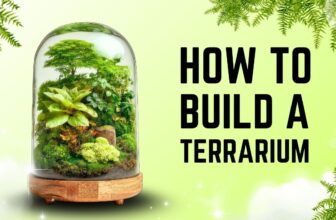 8 Melhores Máquinas de Sorvete em Janeiro 2026